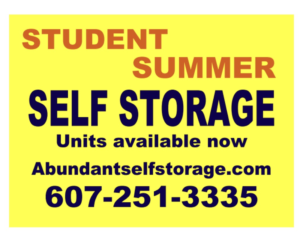 Abundant Self Storage | 163 Co Rd 48, Otego, NY 13825 | Phone: (607) 251-3335