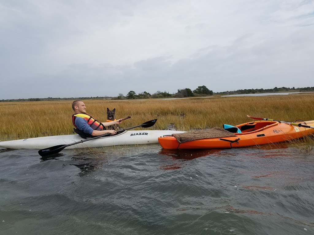 Sedge Island Wildlife Management Area | Waretown, Ocean Twp, NJ 08758 | Phone: (609) 292-2965