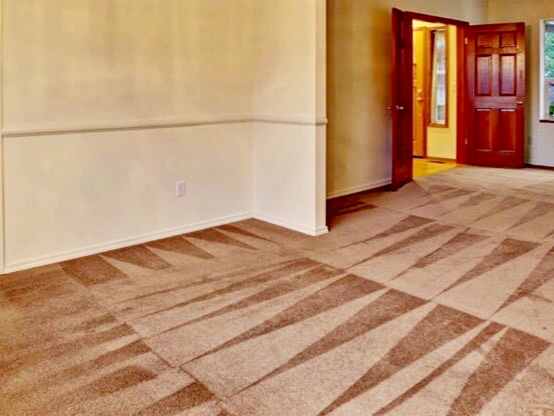 Eco-Safe Carpet Cleaning Professionals | 1324 Edgewood Rd, Havertown, PA 19083 | Phone: (610) 989-7950