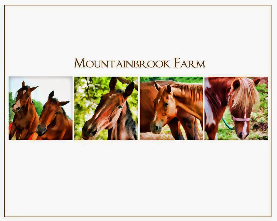 Mountainbrook Farms | 828 Bethany Mountain Rd, Cheshire, CT 06410 | Phone: (203) 401-1464