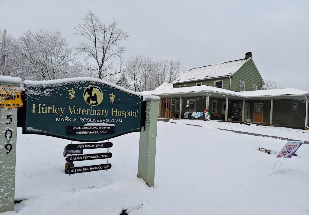 Hurley Veterinary Hospital | 509 Hurley Ave, Hurley, NY 12443 | Phone: (845) 331-7100