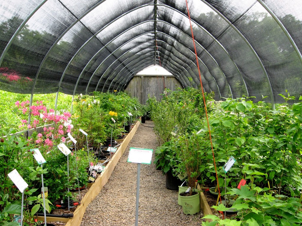 Catskill Native Nursery | 607 Samsonville Rd, Kerhonkson, NY 12446 | Phone: (845) 626-2758