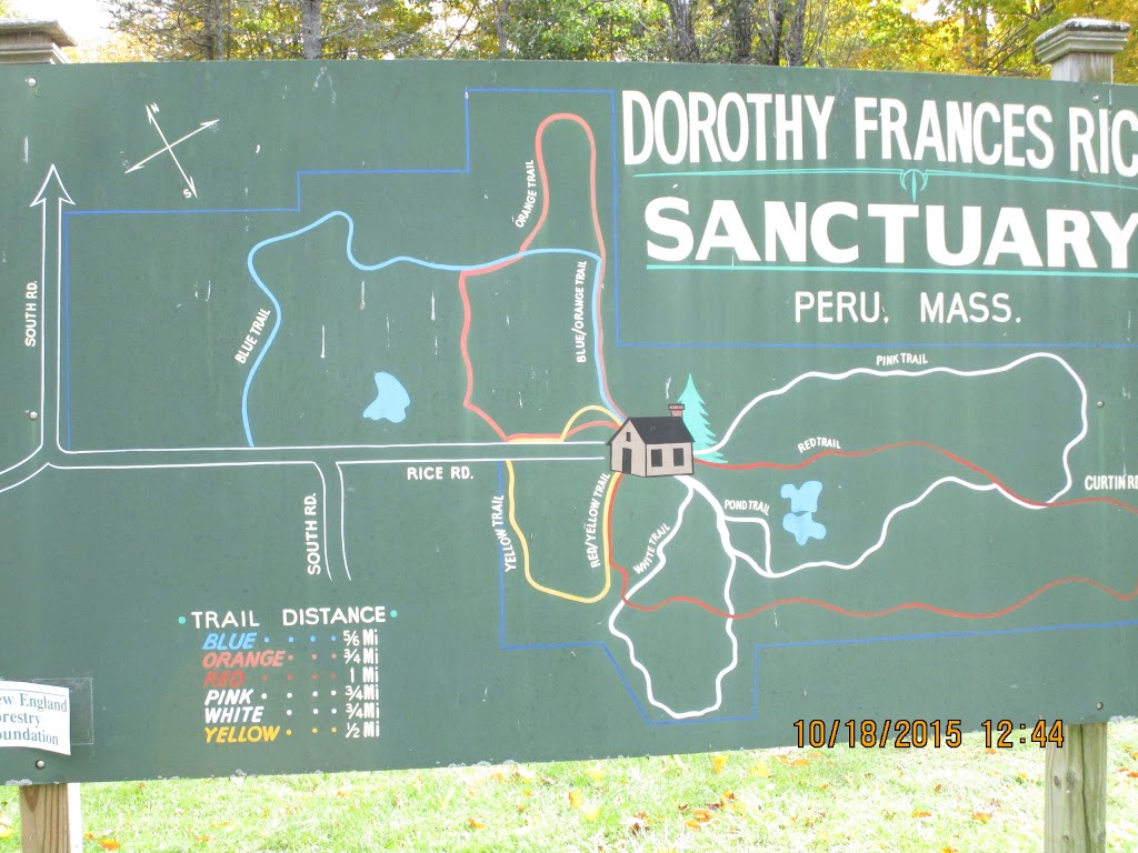 Dorothy Frances Rice Wildlife | 85 S Rd, Peru, MA 01235 | Phone: (413) 329-8294