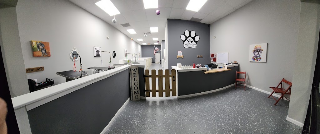What The Pup Grooming | 1031 Lacey Rd #1, Forked River, NJ 08731 | Phone: (609) 312-7464