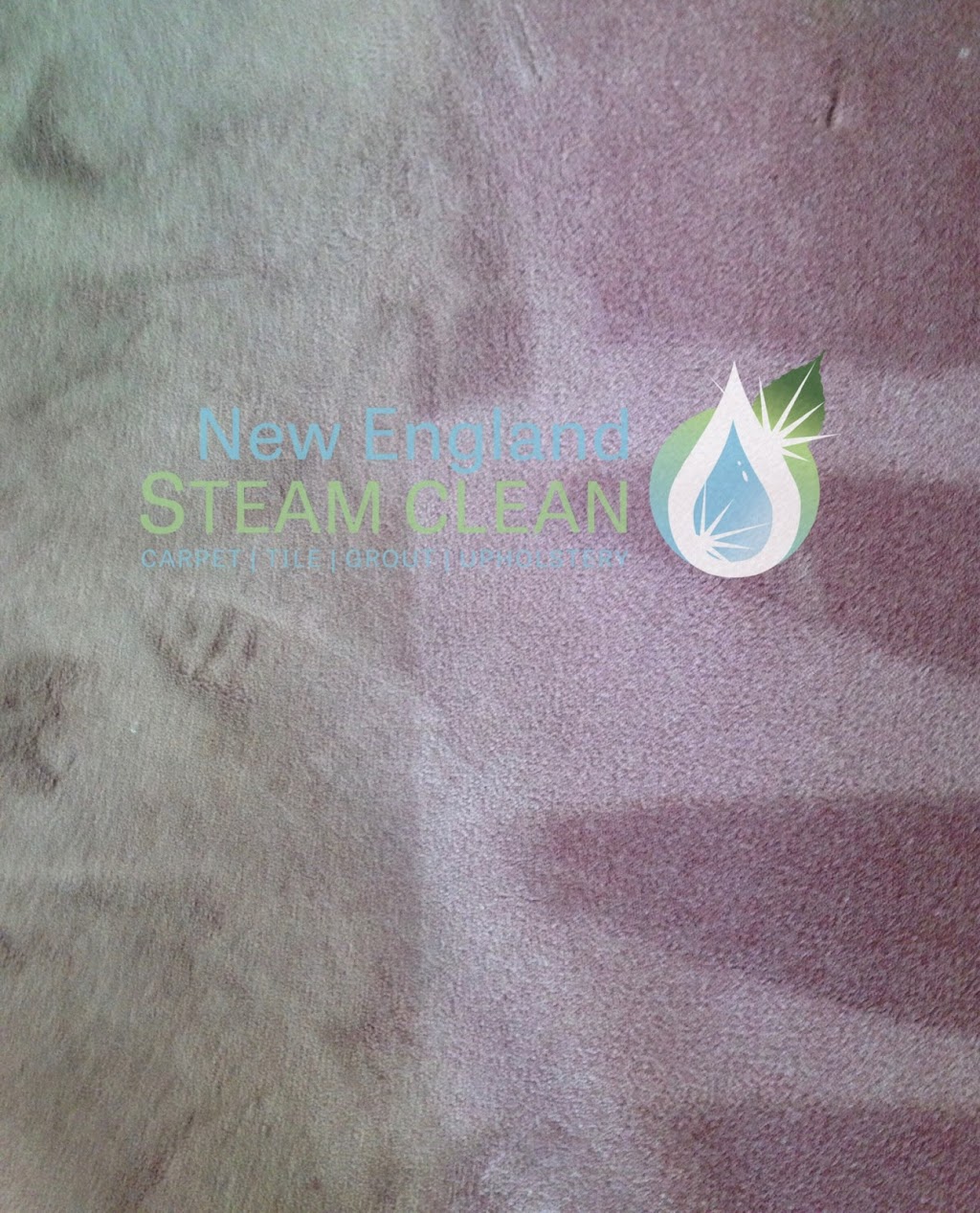 New England Steam Clean | 7 Nutmeg Dr, Ellington, CT 06029 | Phone: (860) 454-8579