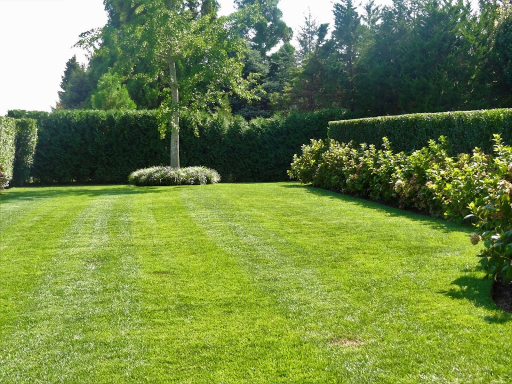 Anandham Landscaping Corp | 1547 Northville Turnpike, Riverhead, NY 11901 | Phone: (631) 875-3130