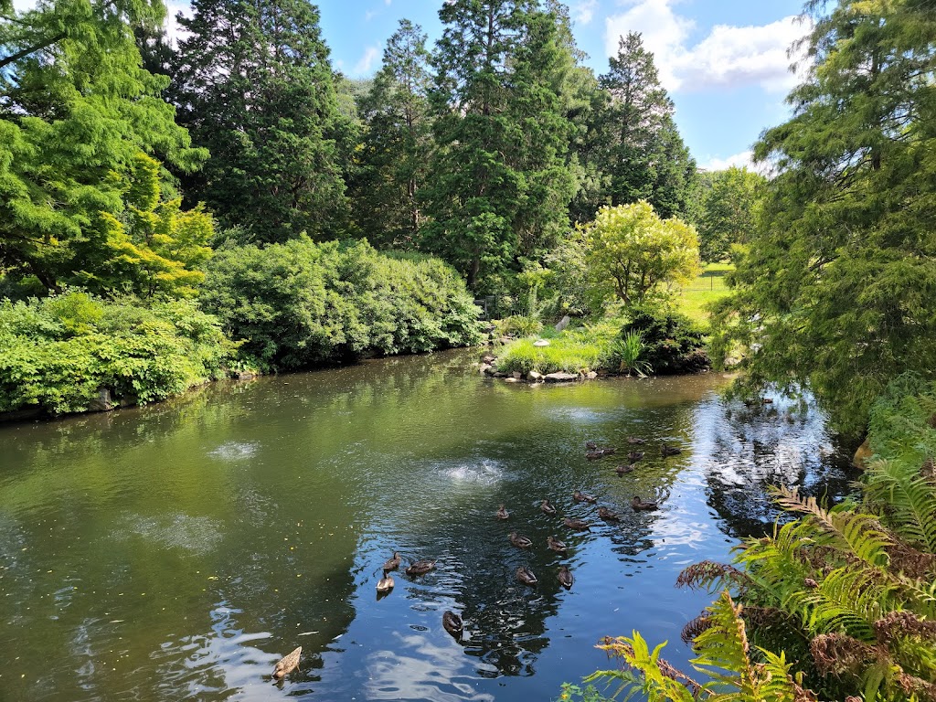 Morris Arboretum & Gardens of the University of Pennsylvania | 100 E Northwestern Ave, Philadelphia, PA 19118 | Phone: (215) 247-5777