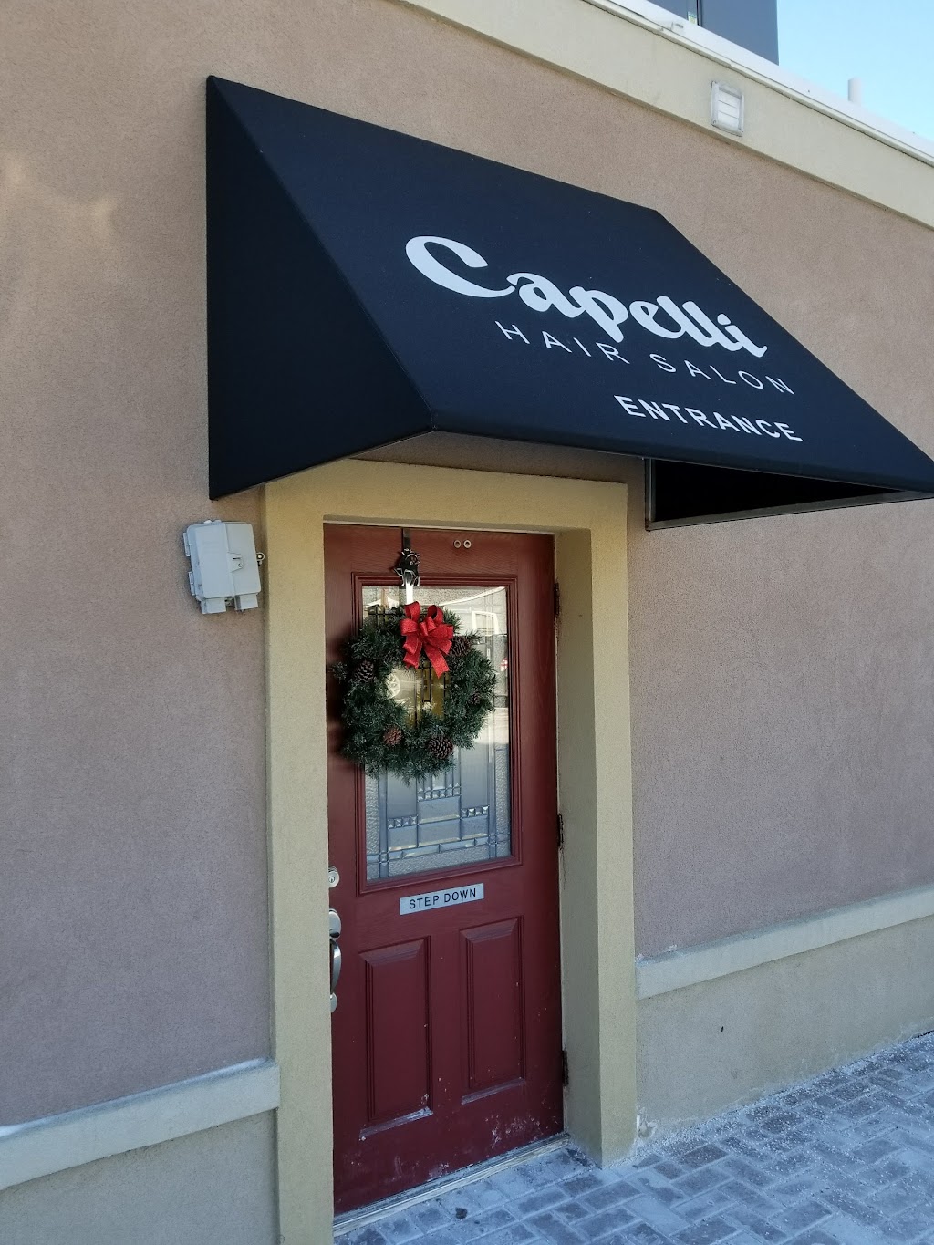 Capelli Salon | 443 S Washington Ave, Piscataway, NJ 08854 | Phone: (732) 968-7666