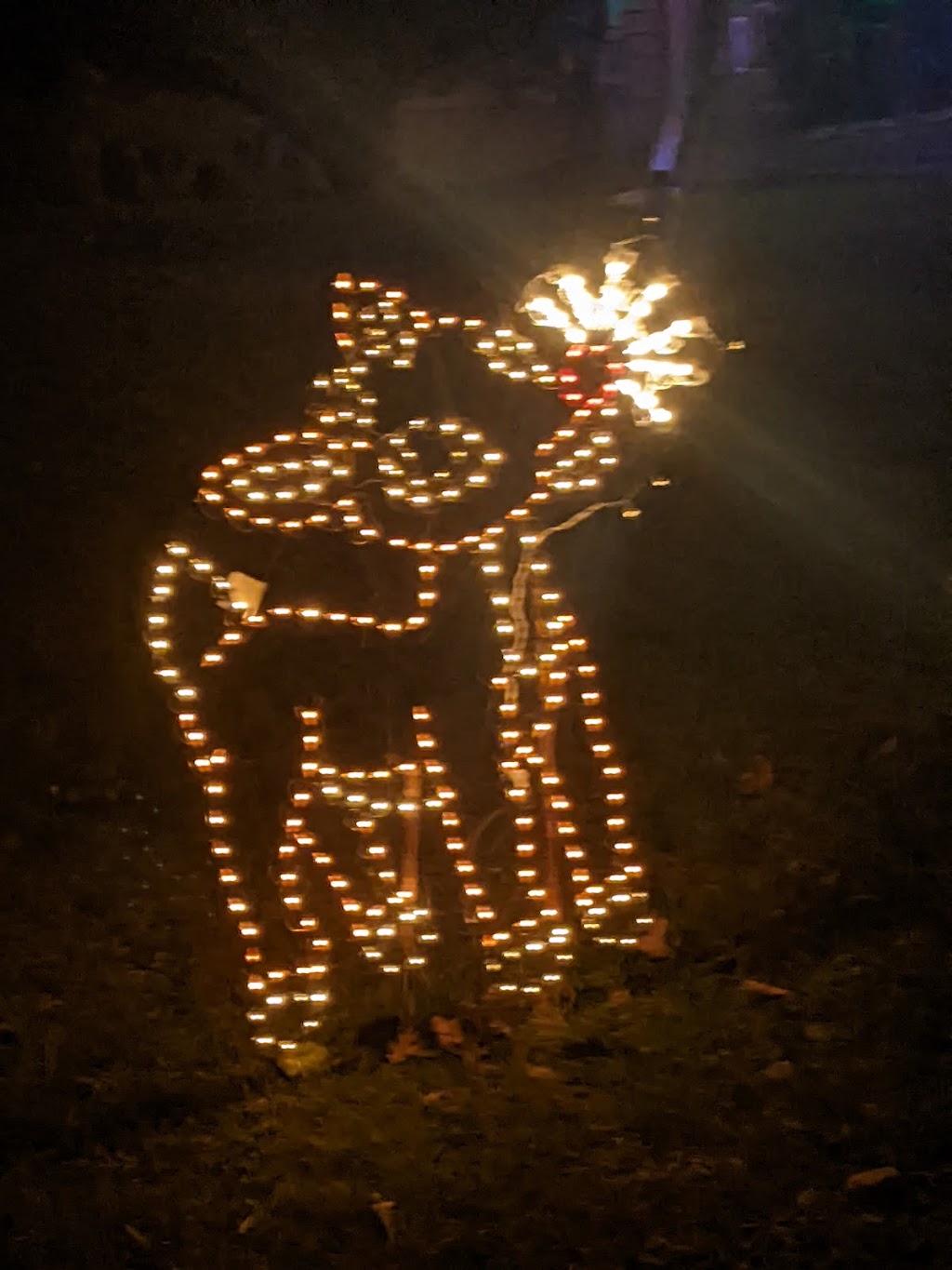 Canigiani Christmas Light Show | Romig Rd &, Martin Dr, New Hanover Township, PA 19525 | Phone: (215) 290-5495