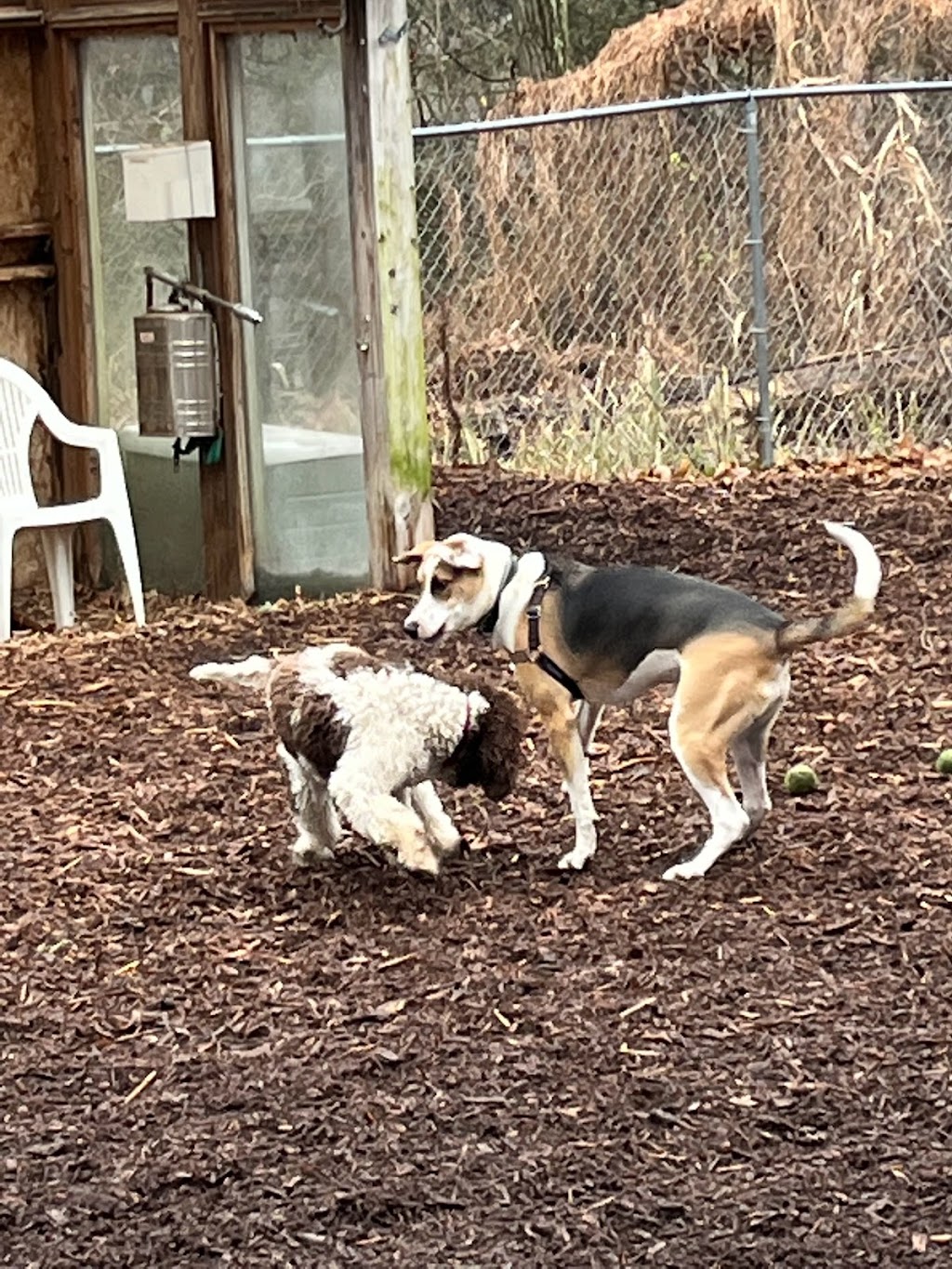 Ossining Dog Park | 235 Cedar Ln, Ossining, NY 10562 | Phone: (914) 941-3189