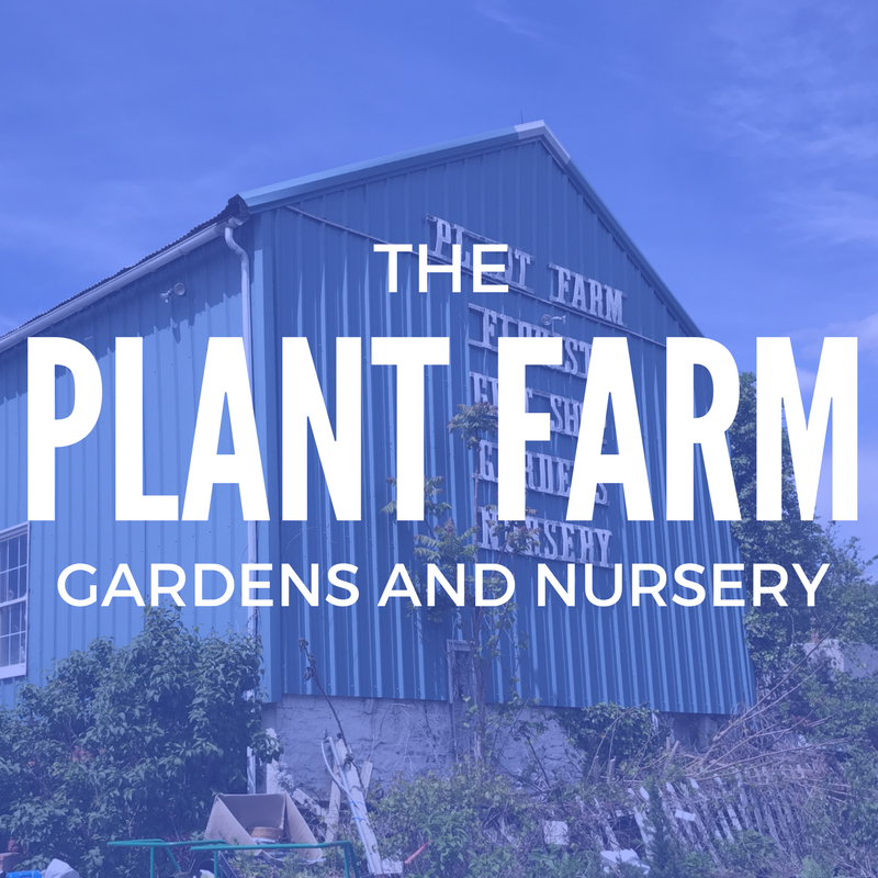 Plant Farm Gardens & Nursery | 2306 NJ-57, Washington, NJ 07882 | Phone: (908) 689-0430