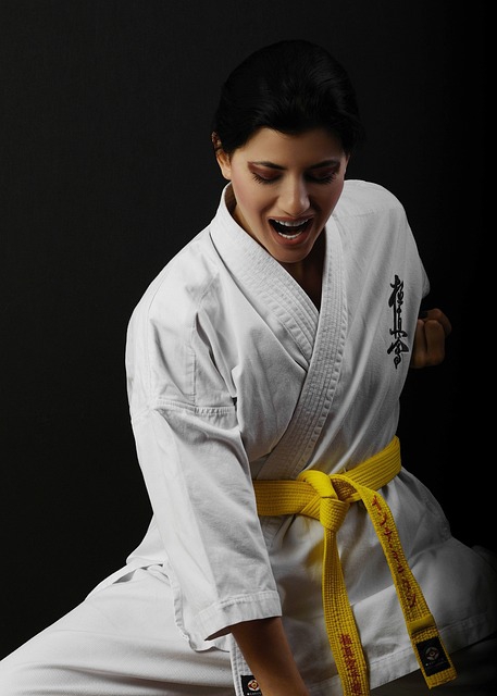 Champions Karate | 199 Old Hartford Rd, Colchester, CT 06415 | Phone: (860) 531-8746