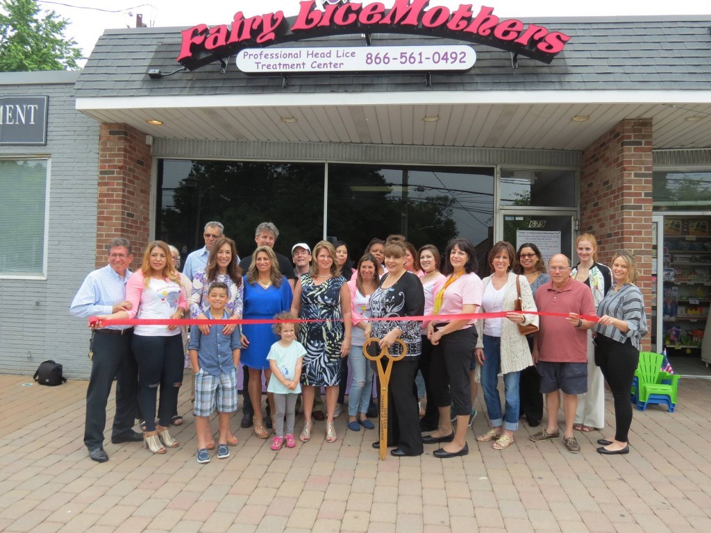 Fairy LiceMothers | 2463 S Long Beach Rd, Oceanside, NY 11572 | Phone: (866) 561-0492