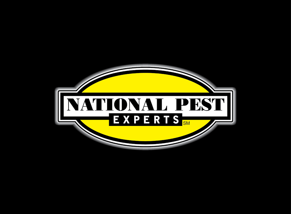 National Pest Experts | 1484 Broadway Ave, Holbrook, NY 11741 | Phone: (888) 567-7100
