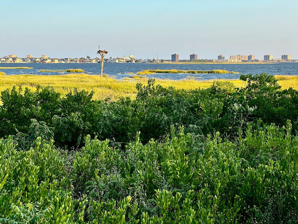 Jamaica Bay Wildlife Refuge | 175-10 Cross Bay Blvd, Queens, NY 11693 | Phone: (718) 318-4340