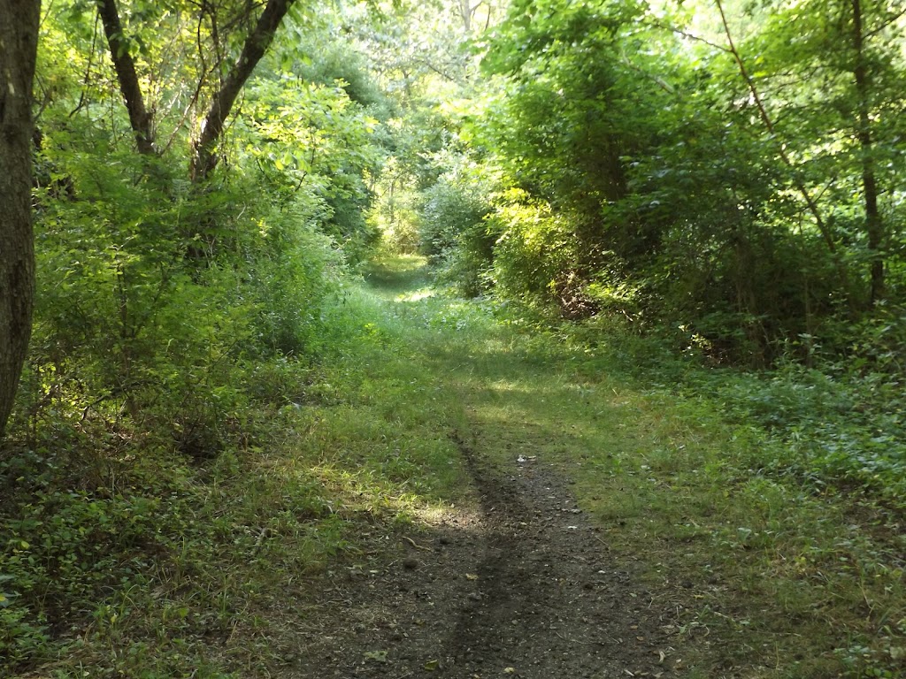 Willow Oak Natural Area | 4106 E Landis Ave, Vineland, NJ 08361 | Phone: (856) 794-4000