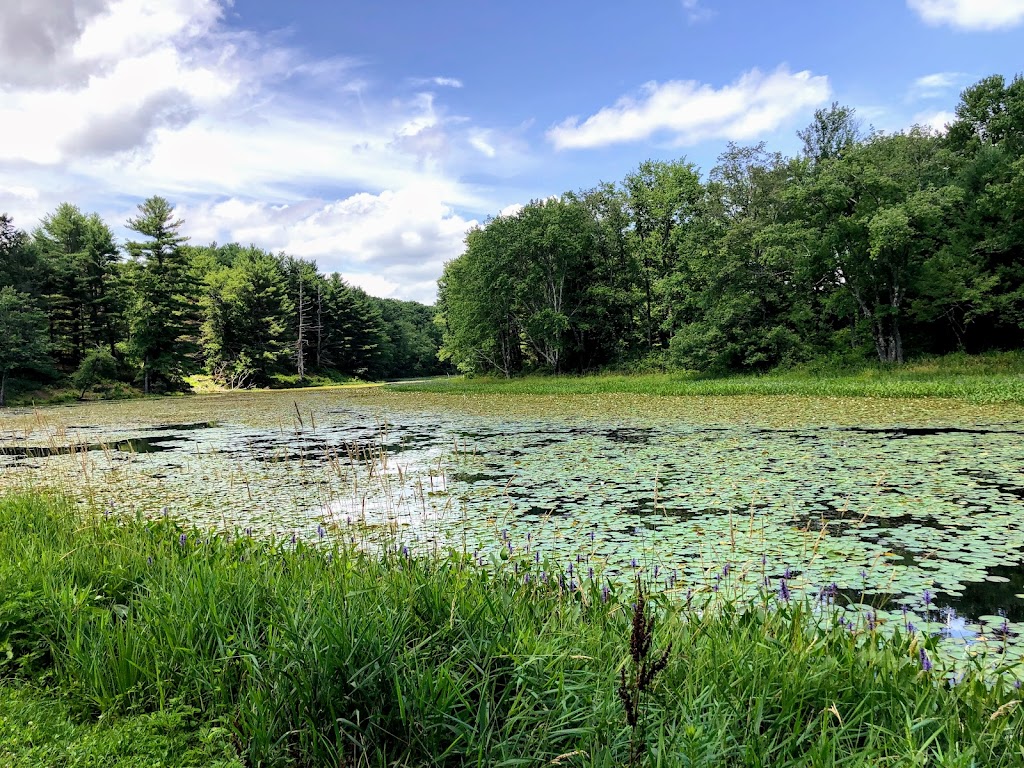 Lake Superior State Park | 342 Dr Duggan Rd, Bethel, NY 12720 | Phone: (845) 807-0287