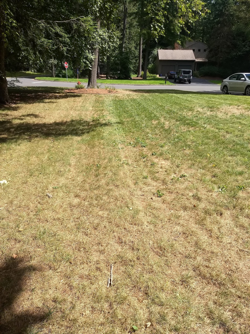 Green Carpet Lawn Care LLC | 216 Field Rd, Somers, CT 06071 | Phone: (860) 871-1025
