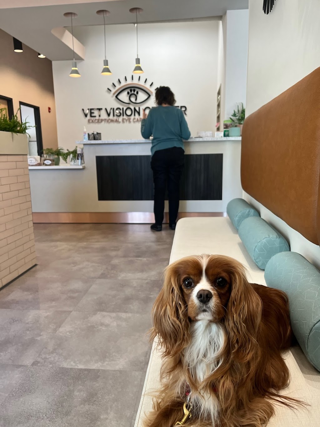 Vet Vision Center | 1530 NJ-179, Lambertville, NJ 08530 | Phone: (609) 418-3937