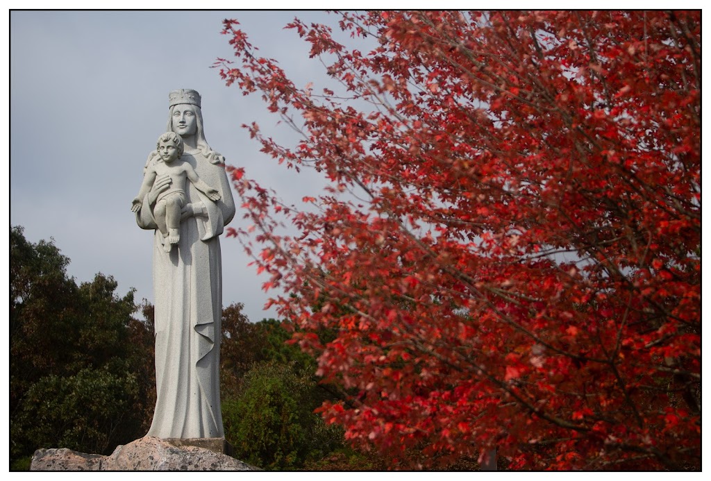 Shrine of Our Lady of the Island | 258 Eastport Manor Rd, Manorville, NY 11949 | Phone: (631) 325-0661