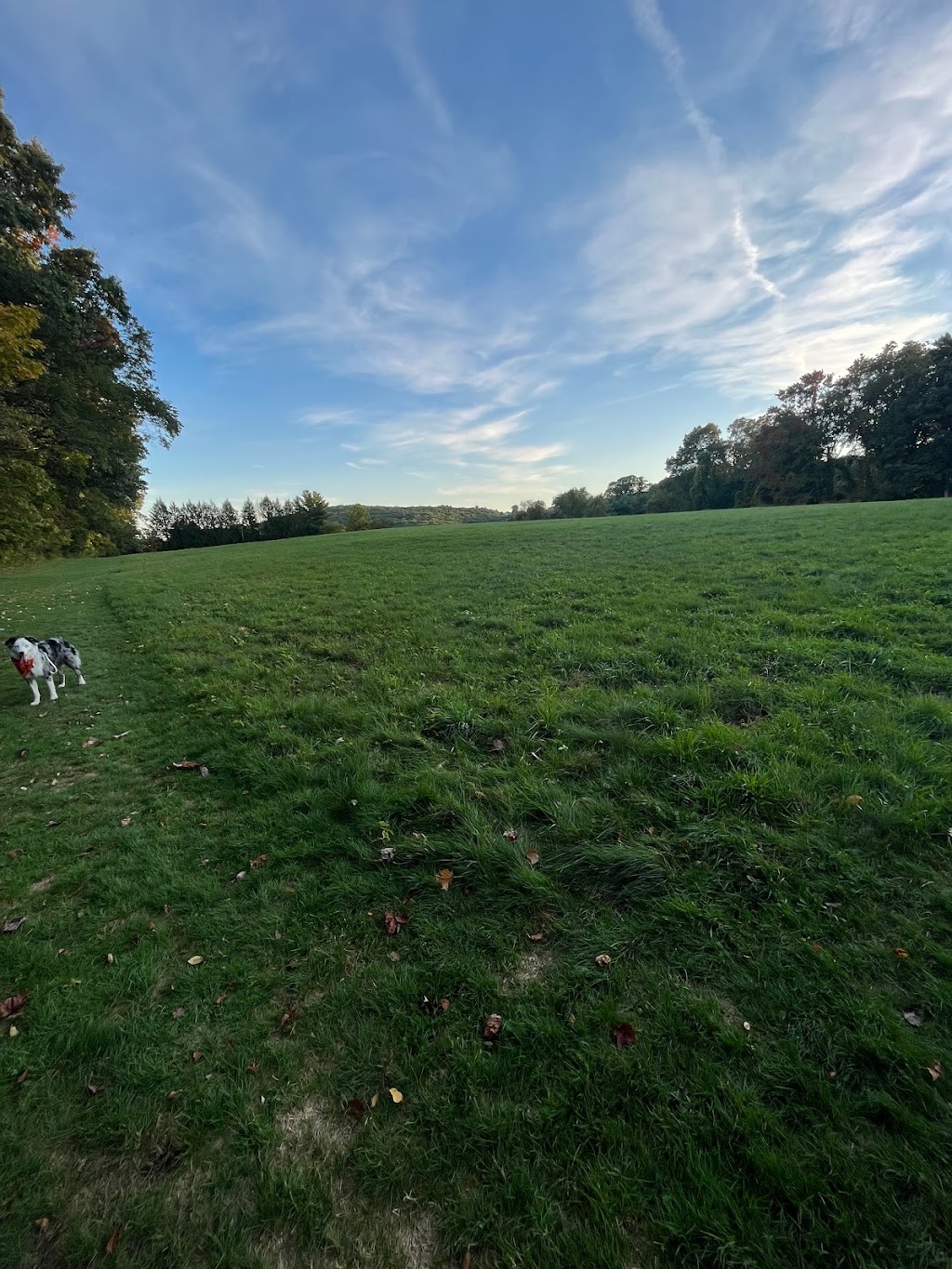 Eriksen Farm Open Space | 8 Nabby Rd, Brookfield, CT 06804 | Phone: (203) 775-7316