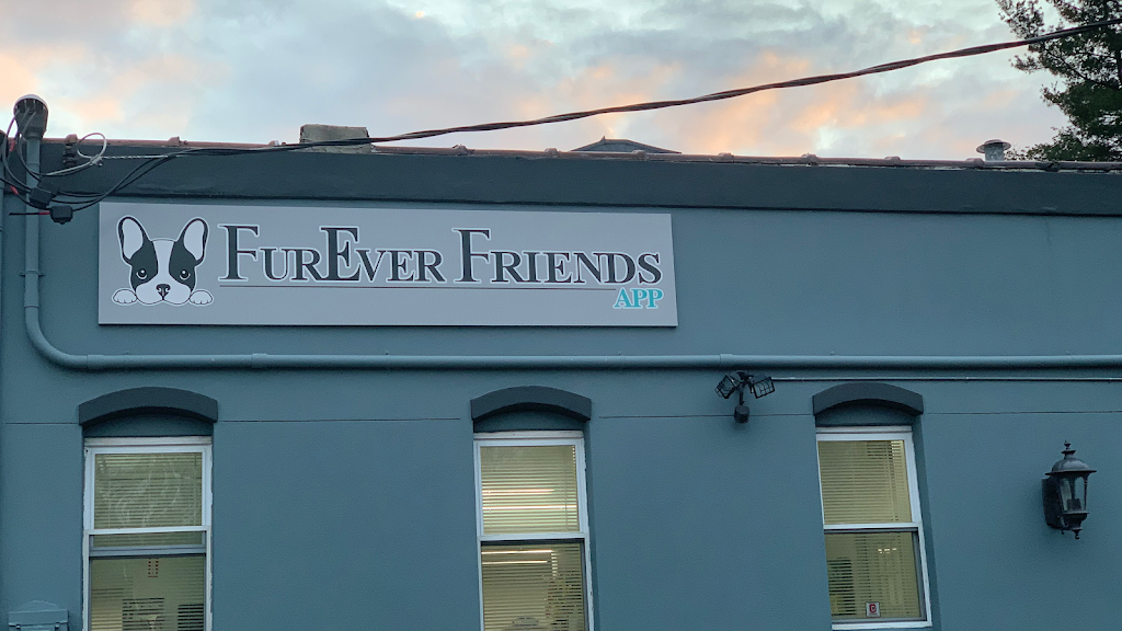FurEver Friends Hudson Valley | 1 Fulton St, Wappingers Falls, NY 12590 | Phone: (845) 632-2990
