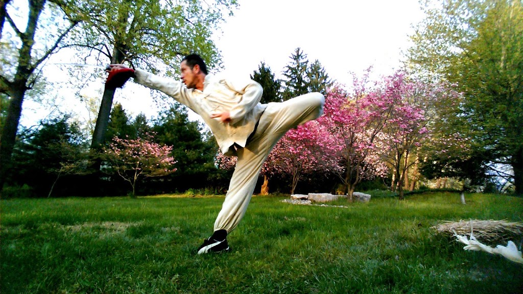 INTEGRATED KUNG FU & MIXED MARTIAL ARTS ACADEMY | 464 S Old Middletown Rd, Media, PA 19063 | Phone: (267) 441-6505