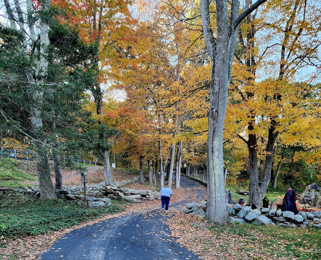 Strawberry Hollow Farm | 2171 Boston Post Rd, Guilford, CT 06437 | Phone: (203) 458-3579