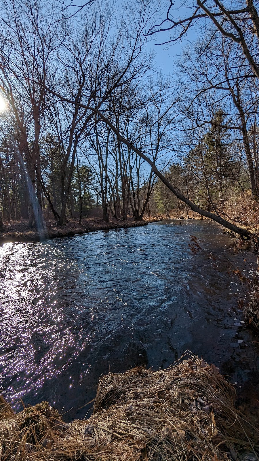 Wildlands Conservancys Maple Tract Preserve | 271 Stoney Hollow Rd, Pocono Lake, PA 18347 | Phone: (610) 965-4397