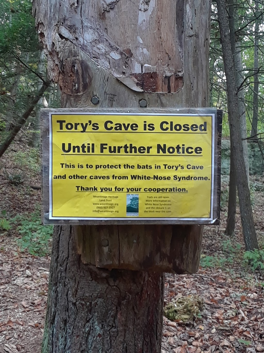 Torys Cave Preserve | 499 Kent Rd, New Milford, CT 06776 | Phone: (860) 927-1927