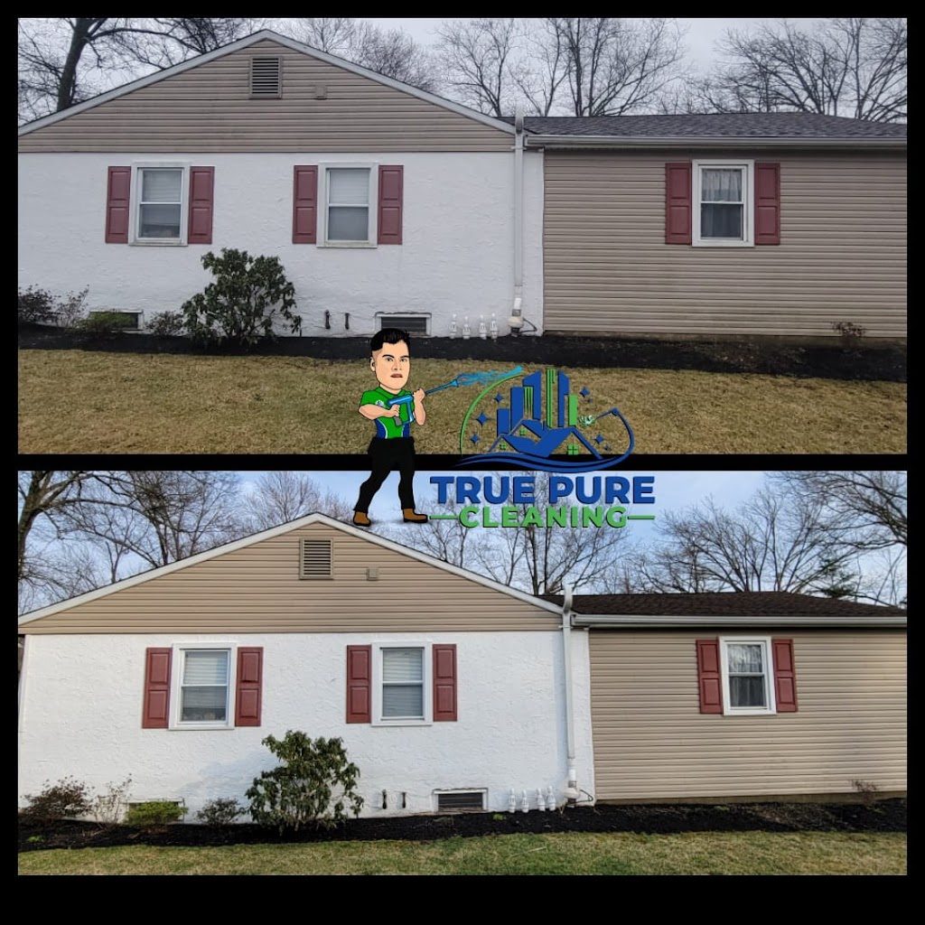TRUE PURE CLEANING - The Pressure Washing Co. | 266 S Spring Garden St, Ambler, PA 19002 | Phone: (267) 346-5138