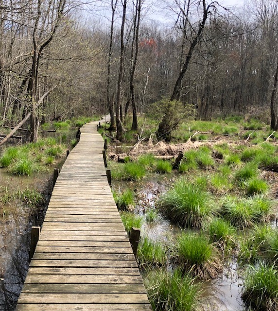 Great Swamp Watershed Association - Conservation Management Area | 1 Tiger Lily Ln, Morristown, NJ 07960 | Phone: (973) 538-3500