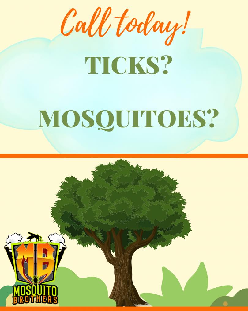 Mosquito Brothers | 397 Duffy Ave Suite 104, Hicksville, NY 11801 | Phone: (516) 321-0606