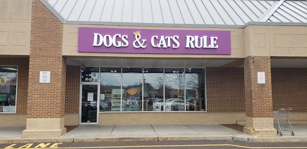 Dogs & Cats Rule | 6542 Lower York Rd D, New Hope, PA 18938 | Phone: (215) 693-1553