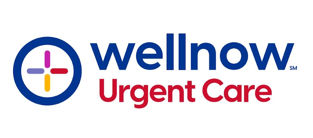 WellNow Urgent Care - Hudson | 446 Fairview Ave Ste. 200, Hudson, NY 12534 | Phone: (518) 267-3496