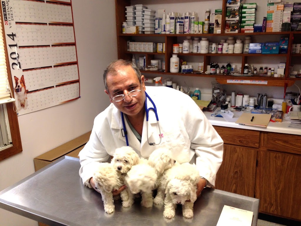 Hammonasset Animal Clinic | 117 Cottage Rd, Madison, CT 06443 | Phone: (203) 245-3434