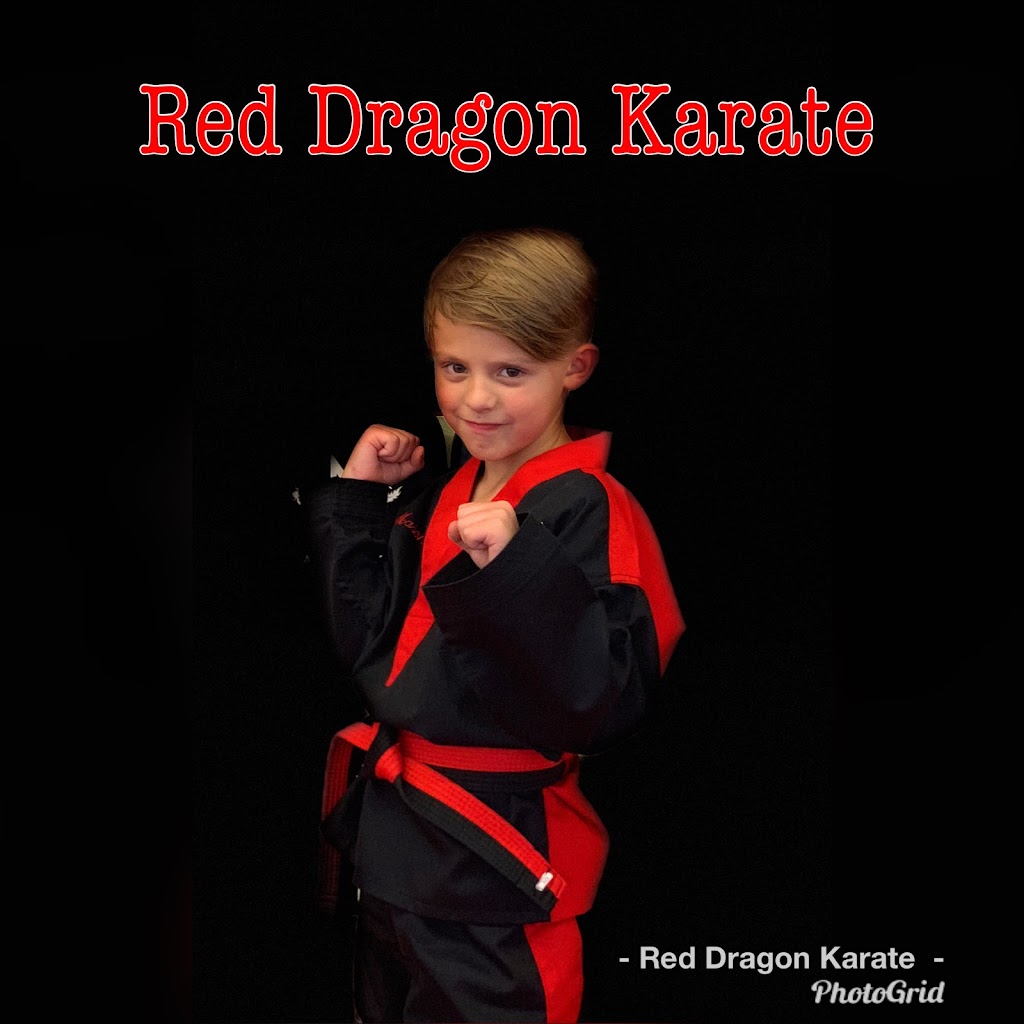 Red Dragon Karate USA, LLC | Mount View Plz # 4, 1866 Main St, Clifford, PA 18413 | Phone: (570) 282-7003