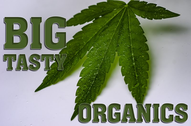 Big Tasty Organics | 8 Rondaly Rd, Amston, CT 06231 | Phone: (860) 424-6646