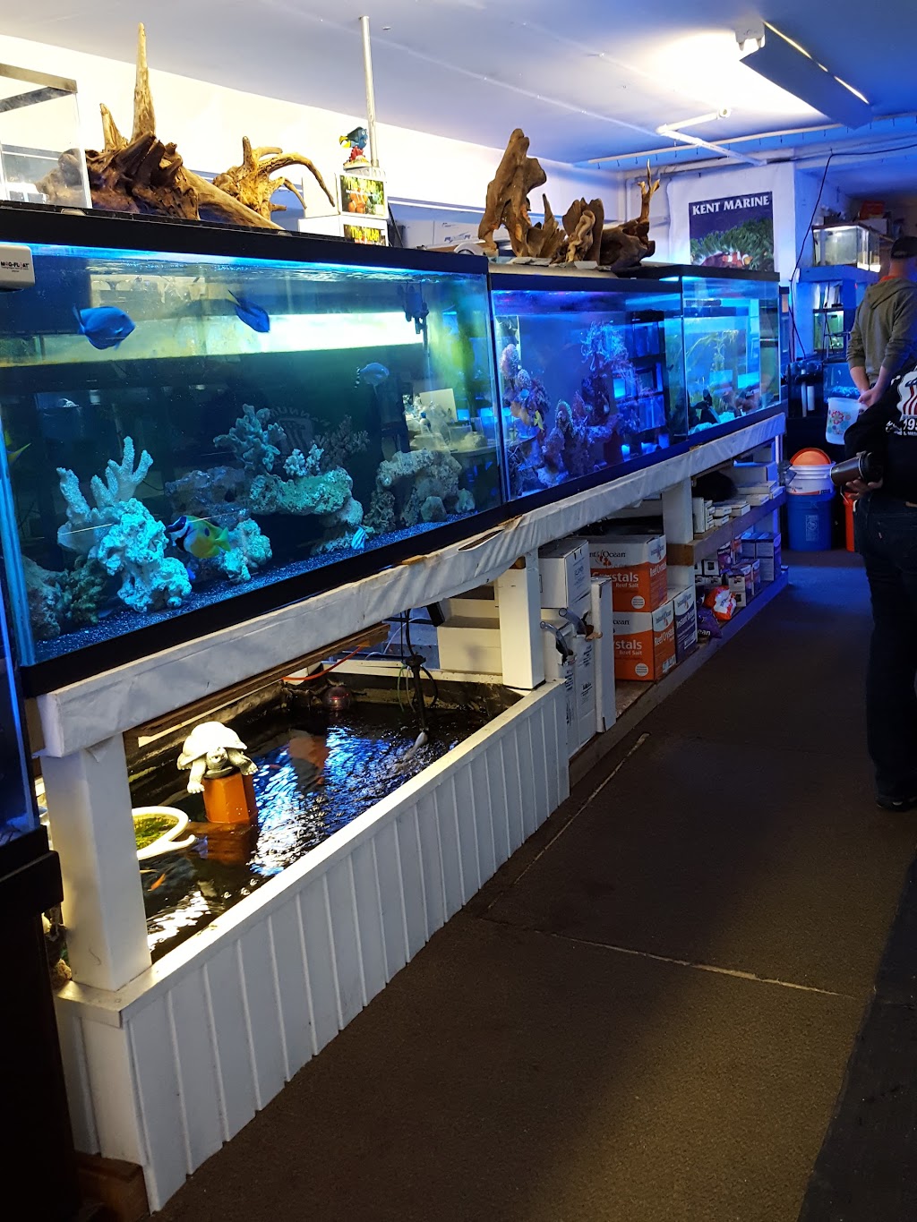 Aquarium World | 1512 Meetinghouse Rd, Upper Chichester Township, PA 19061 | Phone: (610) 485-3189