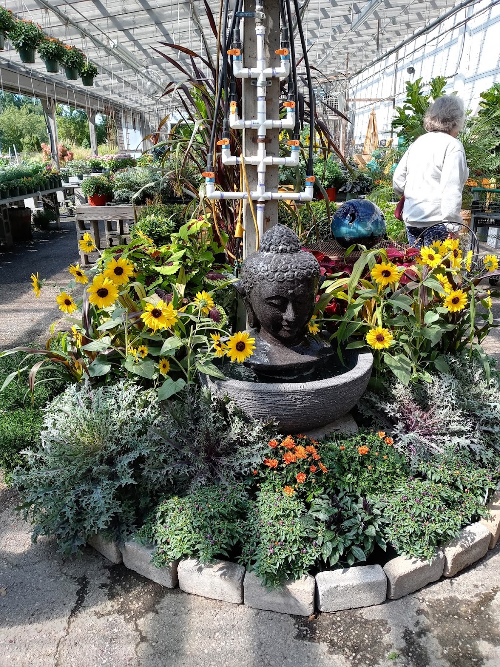 Hollandia Nurseries | 95 Stony Hill Rd, Bethel, CT 06801 | Phone: (203) 792-0268