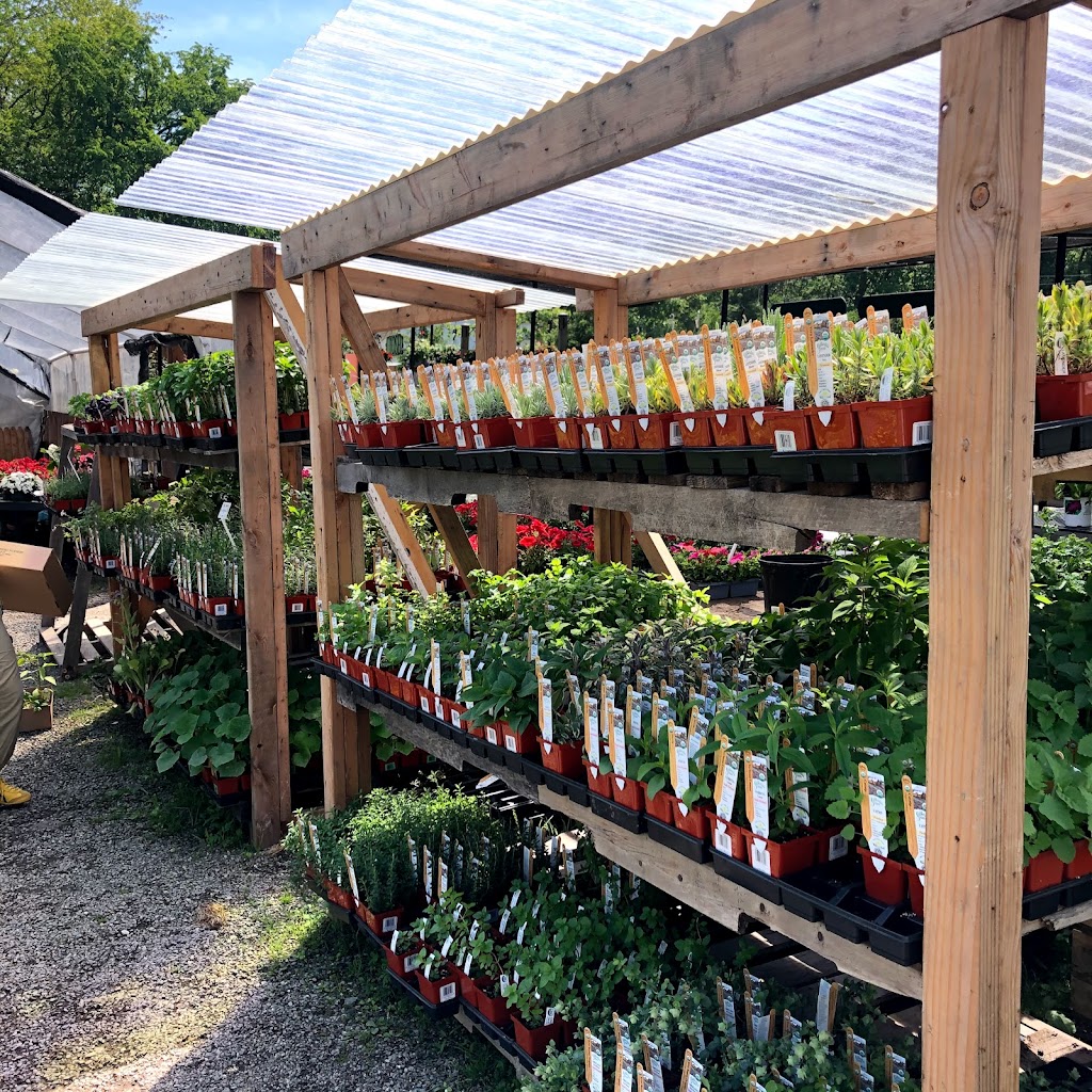 Gossett Brothers Nursery | 1202 Old Post Rd, South Salem, NY 10590 | Phone: (914) 763-3001