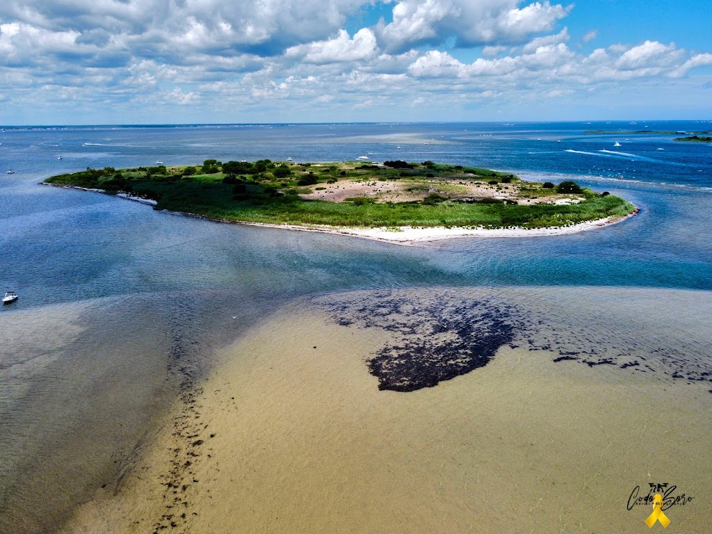 Sedge Island Wildlife Management Area | Waretown, Ocean Twp, NJ 08758 | Phone: (609) 292-2965