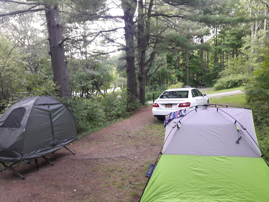 Bear Spring Mountain Campground | 512 E Trout Brook Rd, Downsville, NY 13755 | Phone: (607) 865-6989