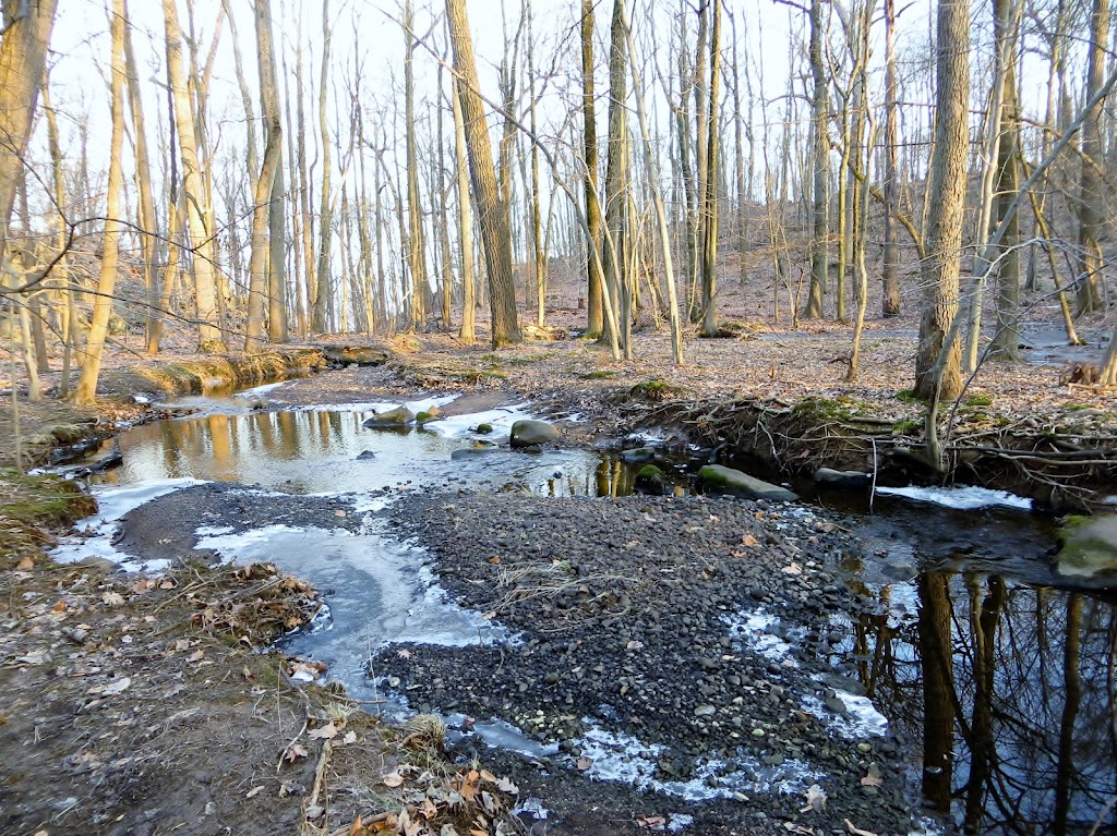 Greenbrook Nature Sanctuary (Membership Required) | Green Brook Rd, Tenafly, NJ 07670 | Phone: (201) 784-0484