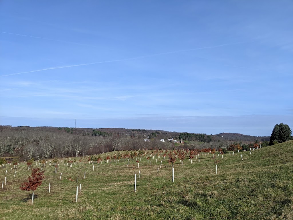 Delaware Highlands Conservancy - Van Scott Nature Reserve | 571 Perkins Pond Rd, Beach Lake, PA 18405 | Phone: (570) 226-3164