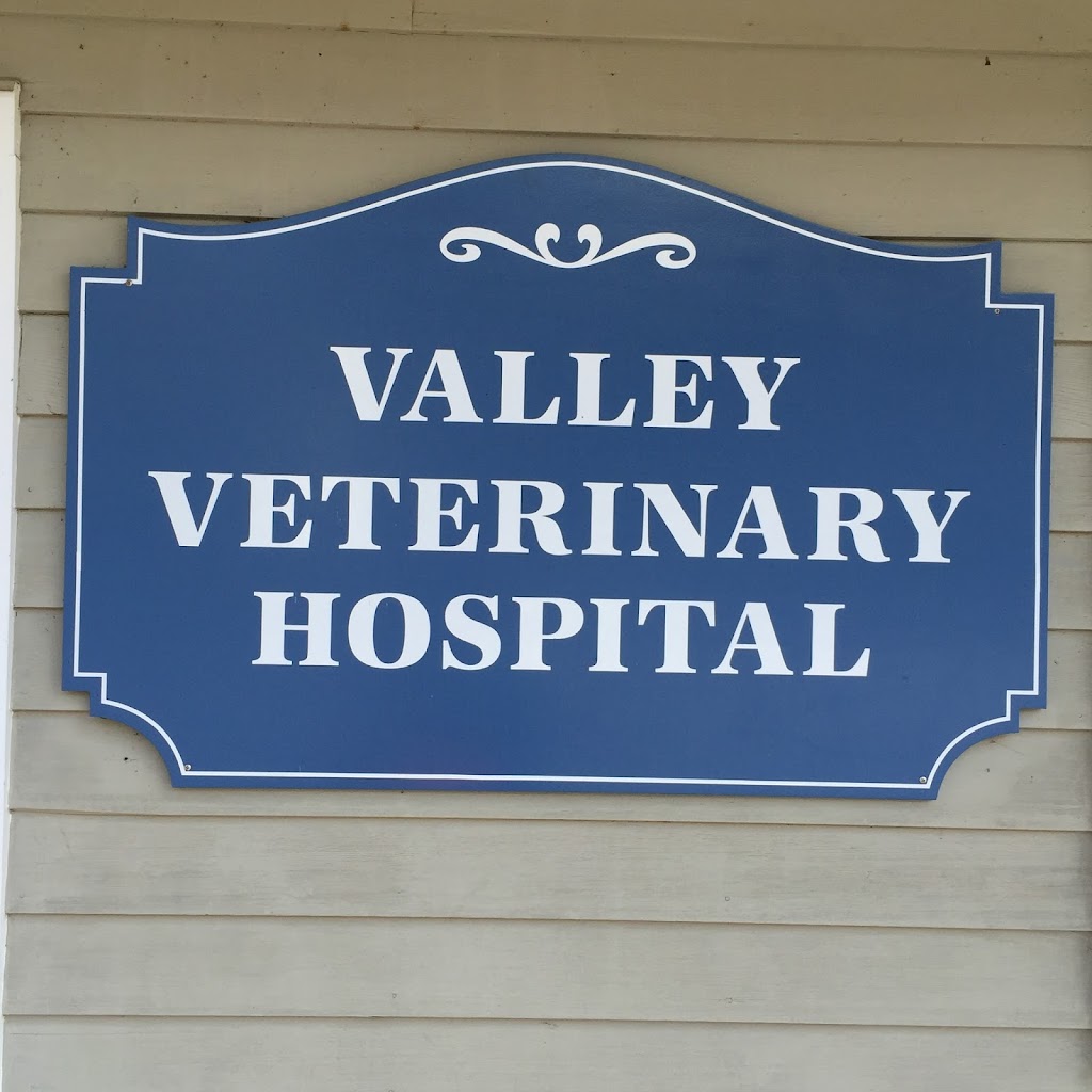 Valley Veterinary Hospital | 42 North Ave, Pleasant Valley, NY 12569 | Phone: (845) 635-2472