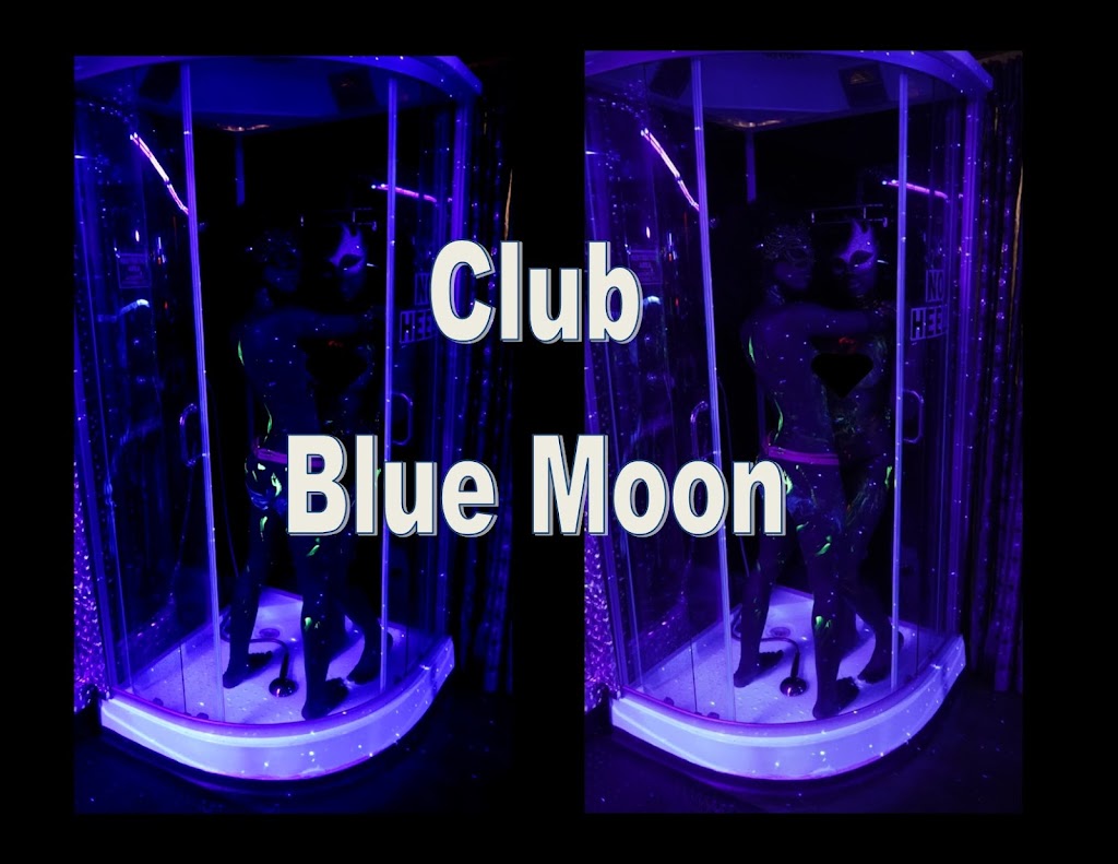 Blue Moon Cabaret | 534 Main St, New Paltz, NY 12561 | Phone: (845) 256-9090