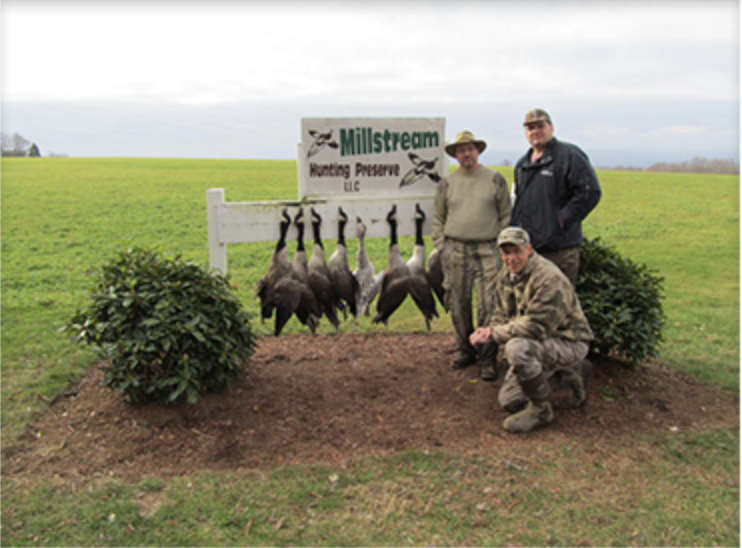 Millstream Hunting Preserve | 55 York Rd, Lebanon, CT 06249 | Phone: (860) 295-9974