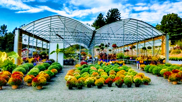 Whispering Ridge Farm & Greenhouse | 5940 US-209 BUS, Stroudsburg, PA 18360 | Phone: (570) 656-2009