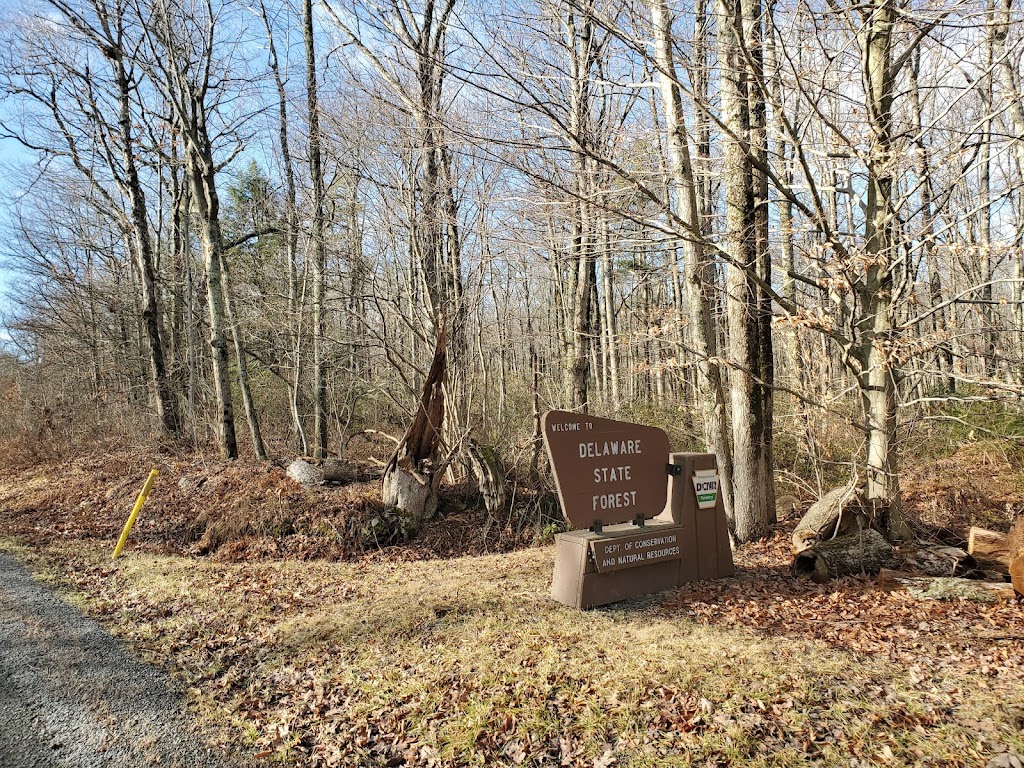 Delaware State Forest | Dingmans Ferry, PA 18328 | Phone: (570) 895-4000